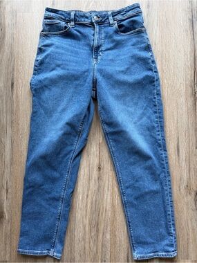 AE 8 Short Mom Jeans - Stretch